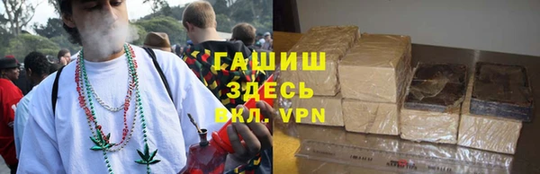 PSILOCYBIN Вяземский