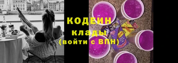 PSILOCYBIN Вяземский