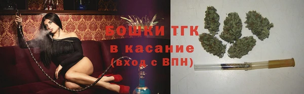 PSILOCYBIN Вяземский