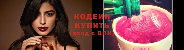 PSILOCYBIN Вяземский