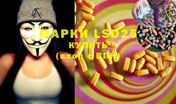 PSILOCYBIN Вяземский