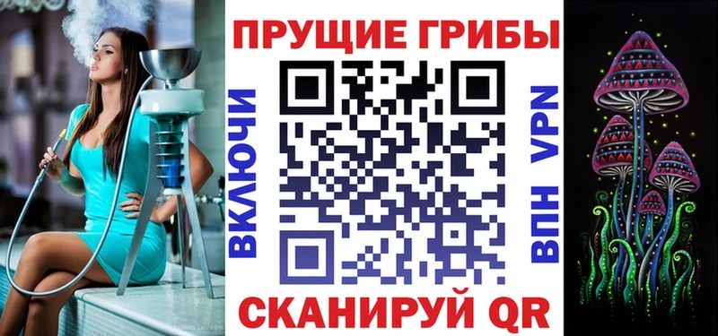 Псилоцибиновые грибы мицелий  купить наркотик  Петушки 